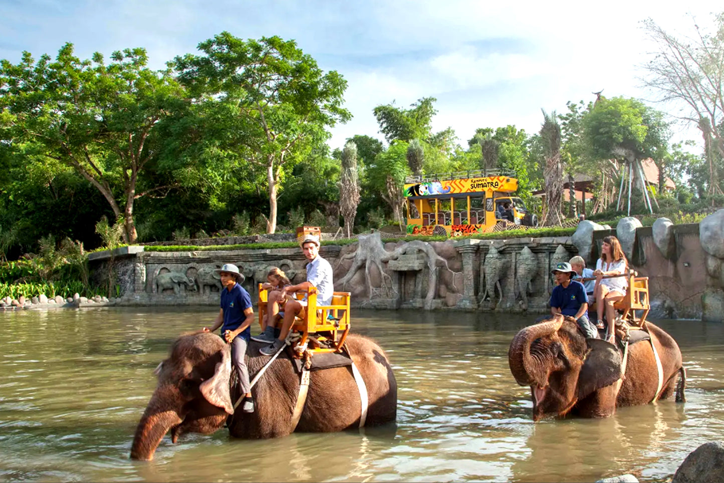 ANIMAL BALI | Bali Zoo + Monkey Forest + Turtle Release